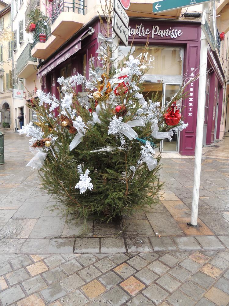 121 Toulon Cour Lafayette.JPG -           